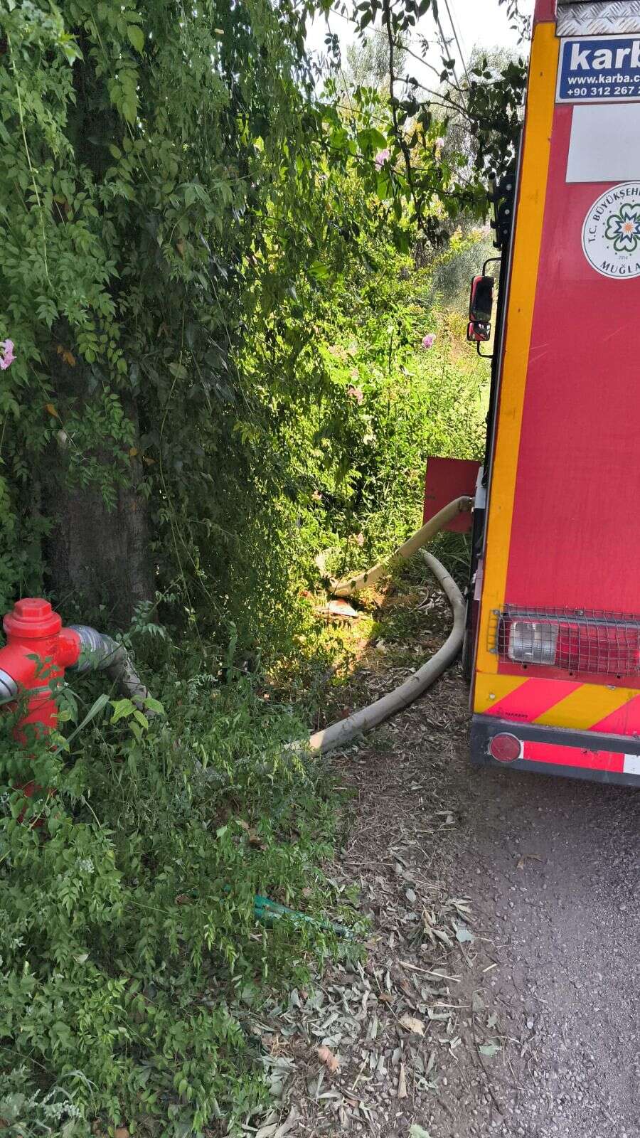 Muğla’da Zeytinlik Alanda Yangın: 5 Bin Metrekare Zarar Gördü 1